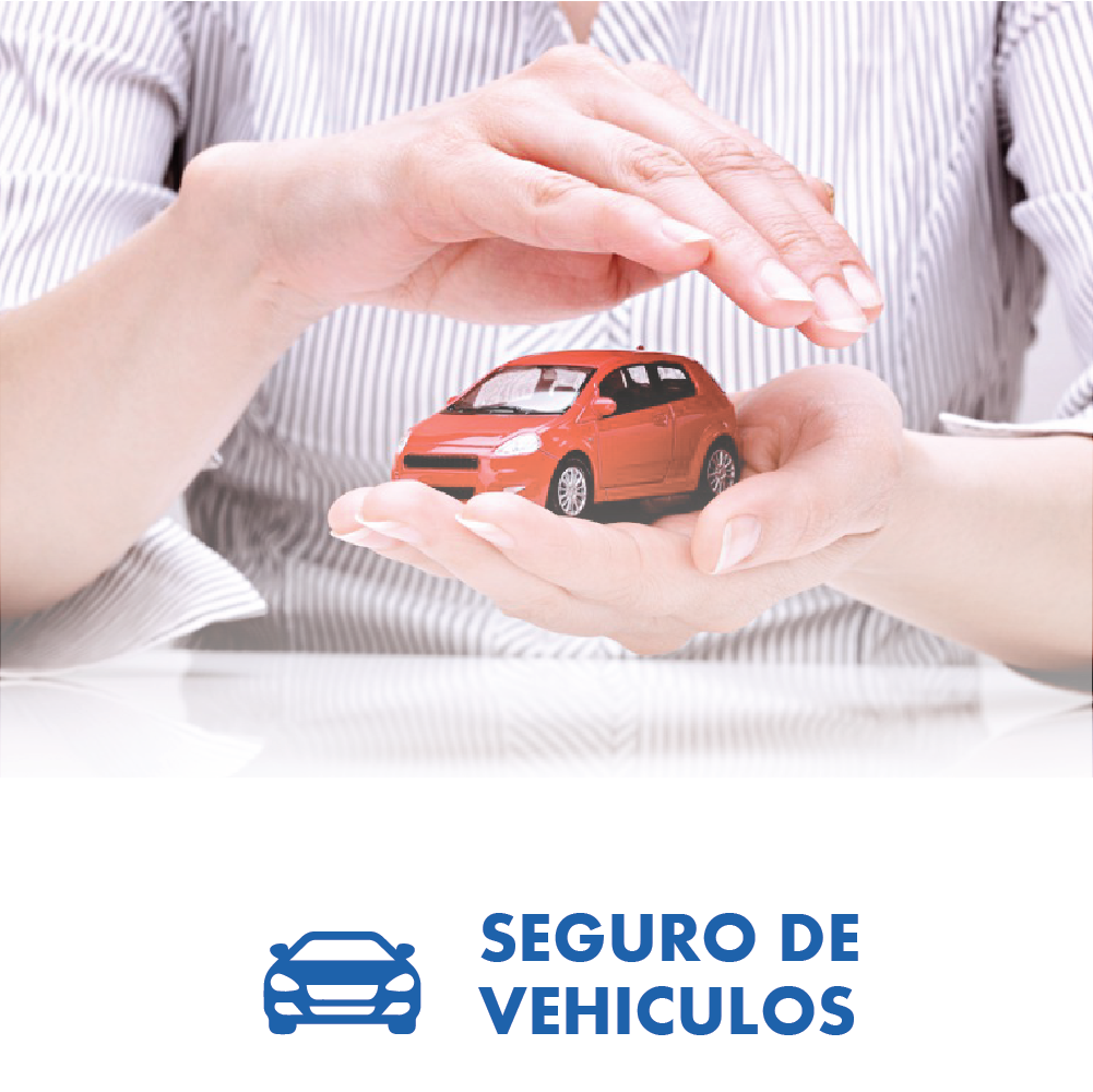 SEGURO DE VEHICULOS