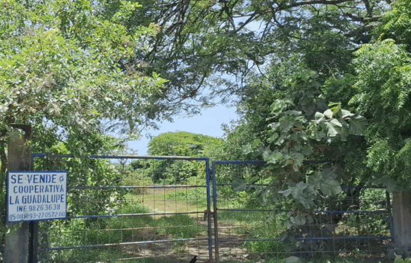 Pueblo Nuevo, 63.40 manzanas